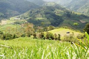 Your Costa Rica Farm Land for Sale Dream Awaits! The Conscious Farmer | Sustainable Agriculture for a Healthier Planet Your Costa Rica Farm Land for Sale Dream Awaits! | The Conscious Farmer | Sustainable Agriculture for a Healthier Planet