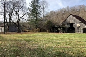 Find Your Farm for Sale WNY Dream Property The Conscious Farmer | Sustainable Agriculture for a Healthier Planet Find Your Farm for Sale WNY Dream Property | The Conscious Farmer | Sustainable Agriculture for a Healthier Planet