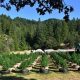 Buy Cannabis Farms for Sale: Grow Your Future! | The Conscious Farmer | Sustainable Agriculture for a Healthier Planet