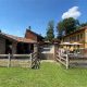 Italian Farms for Sale: Your Dream Farm in Italy Awaits! | The Conscious Farmer | Sustainable Agriculture for a Healthier Planet