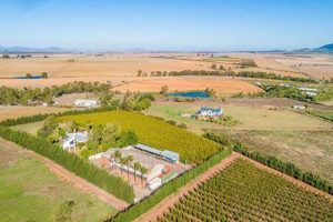 Buy Your Dream Fruit Farm For Sale Today! The Conscious Farmer | Sustainable Agriculture for a Healthier Planet Buy Your Dream Fruit Farm For Sale Today! | The Conscious Farmer | Sustainable Agriculture for a Healthier Planet