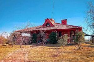 Buy Argentina Farms for Sale: Land & Estancias The Conscious Farmer | Sustainable Agriculture for a Healthier Planet Buy Argentina Farms for Sale: Land & Estancias | The Conscious Farmer | Sustainable Agriculture for a Healthier Planet