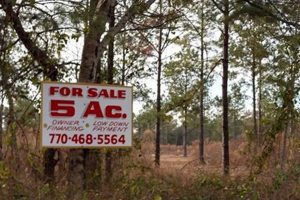 Georgia Farm Land For Sale: GA Farms & Acreage | The Conscious Farmer | Sustainable Agriculture for a Healthier Planet