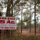Georgia Farm Land For Sale: GA Farms & Acreage | The Conscious Farmer | Sustainable Agriculture for a Healthier Planet