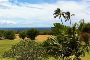 Explore Oahu Farm Land for Sale: Your Investment Awaits | The Conscious Farmer | Sustainable Agriculture for a Healthier Planet