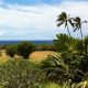 Explore Oahu Farm Land for Sale: Your Investment Awaits | The Conscious Farmer | Sustainable Agriculture for a Healthier Planet
