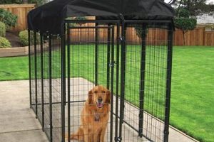 Shop Fleet Farm Kennels: Secure Dog Kennels &amp; More! | The Conscious Farmer | Sustainable Agriculture for a Healthier Planet