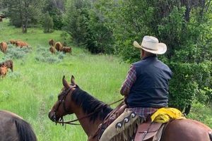 Montana Farm Bureau: Benefits, Advocacy & More | The Conscious Farmer | Sustainable Agriculture for a Healthier Planet