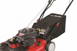 Farm & Fleet Lawn Mowers: Your Top Rated Guide & Best Deals | The Conscious Farmer | Sustainable Agriculture for a Healthier Planet