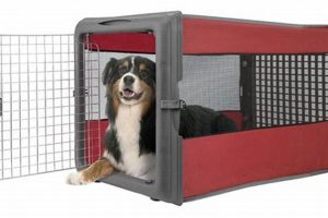 Safe & Secure Fleet Farm Kennels: Find Yours Today! | The Conscious Farmer | Sustainable Agriculture for a Healthier Planet