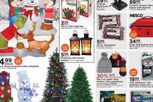Brighten the Holidays: Fleet Farm Christmas Lights Deals | The Conscious Farmer | Sustainable Agriculture for a Healthier Planet