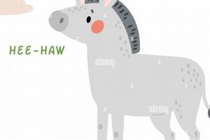 Guide to: Hee Hawing Farm Animal Care Tips + Facts | The Conscious Farmer | Sustainable Agriculture for a Healthier Planet