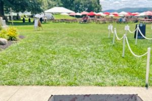 Visit Hollis Hills Farm: Fitchburg's Marshall Road Gem! | The Conscious Farmer | Sustainable Agriculture for a Healthier Planet