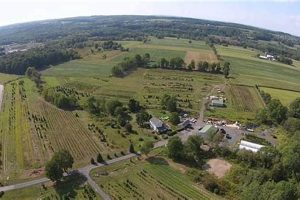 PA Highland Hill Farms: Your Guide + What to Know | The Conscious Farmer | Sustainable Agriculture for a Healthier Planet