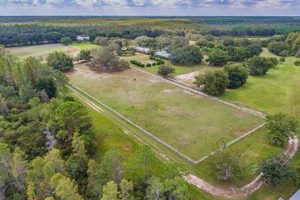 Discover Pine Hill Farms: Your Local Farm Fresh Source | The Conscious Farmer | Sustainable Agriculture for a Healthier Planet