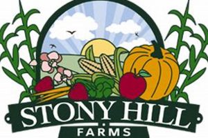 Discover Jersey Hill Farm: Milk, Cheese &amp; More! | The Conscious Farmer | Sustainable Agriculture for a Healthier Planet