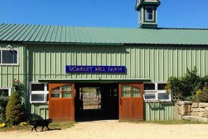 Discover Scarlet Hill Farm: Fresh & Local | The Conscious Farmer | Sustainable Agriculture for a Healthier Planet