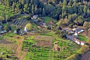 Goat Dairy at Redwood Hill Farm: Products & Practices | The Conscious Farmer | Sustainable Agriculture for a Healthier Planet