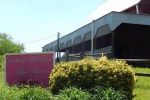 Visit Larkin Hill Farm: Equestrian Excellence Awaits | The Conscious Farmer | Sustainable Agriculture for a Healthier Planet