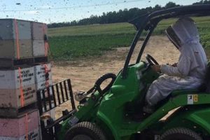 Explore Rock Hill Bee Farm: Honey & Pollination! | The Conscious Farmer | Sustainable Agriculture for a Healthier Planet
