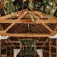 Visit The Farm at Harvest Hills: Your Local Fresh Food Source | The Conscious Farmer | Sustainable Agriculture for a Healthier Planet