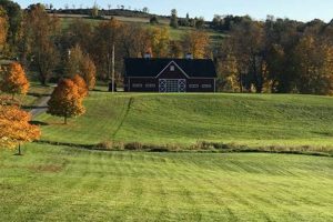 Discover Sugar Hill Farm: Sweetness from the Hills | The Conscious Farmer | Sustainable Agriculture for a Healthier Planet