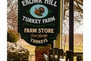 Ekonk Hill Turkey Farm: Fresh, Local Hill Farm Goodness | The Conscious Farmer | Sustainable Agriculture for a Healthier Planet