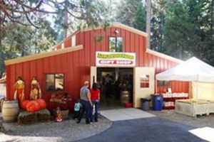Visit Apple Ridge Farms - Apple Hill #20: Fall Fun! | The Conscious Farmer | Sustainable Agriculture for a Healthier Planet