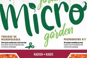 Discover Bramble Hill Farm: Your Local Farm Fresh Haven | The Conscious Farmer | Sustainable Agriculture for a Healthier Planet