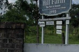 Discover Blackberry Hill Farm: Fresh, Local Berries | The Conscious Farmer | Sustainable Agriculture for a Healthier Planet