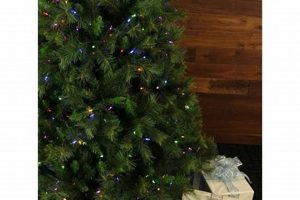 Find the Best Fraser Hill Farm Christmas Tree [Deals!] | The Conscious Farmer | Sustainable Agriculture for a Healthier Planet