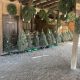 Visit Cedar Hill Farms Hernando: Fun on the Farm! | The Conscious Farmer | Sustainable Agriculture for a Healthier Planet