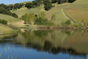 Visit Hawkwood Hill Farm: Your Sustainable Local Farm! | The Conscious Farmer | Sustainable Agriculture for a Healthier Planet