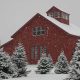 Visit Allen Hill Tree Farm in Brooklyn, CT - Your Perfect Tree! | The Conscious Farmer | Sustainable Agriculture for a Healthier Planet