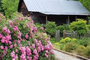 Cultivating Stoney Hill Farm: Tips &amp; Successes | The Conscious Farmer | Sustainable Agriculture for a Healthier Planet
