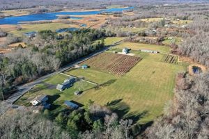 Visit Berry Hill Farms: Local Freshness Awaits! | The Conscious Farmer | Sustainable Agriculture for a Healthier Planet