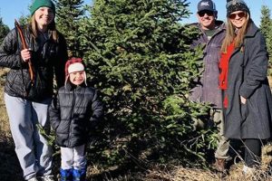Visit Hampton Hills Tree Farm MN: Fresh Trees & More! | The Conscious Farmer | Sustainable Agriculture for a Healthier Planet