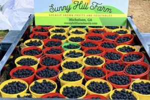 Visit Sunny Hill Farm: Fresh Air &amp; Views! | The Conscious Farmer | Sustainable Agriculture for a Healthier Planet