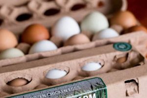 Discover Osprey Hill Farm: Your Sustainable Agriculture Source | The Conscious Farmer | Sustainable Agriculture for a Healthier Planet