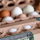 Discover Osprey Hill Farm: Your Sustainable Agriculture Source | The Conscious Farmer | Sustainable Agriculture for a Healthier Planet