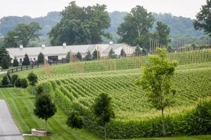 Discover Manor Hill Farm: History & Modern Harvests | The Conscious Farmer | Sustainable Agriculture for a Healthier Planet