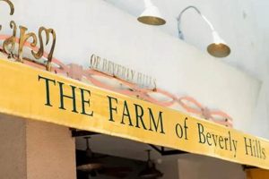 Hill Farms: The Farm of Beverly Hills, CA - Local & Fresh | The Conscious Farmer | Sustainable Agriculture for a Healthier Planet