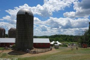 Bedford's Joppa Hill Farm: Fresh, Local &amp; Sustainable! | The Conscious Farmer | Sustainable Agriculture for a Healthier Planet
