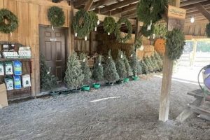 Visit Cedar Hill Farm Hernando: Local Fun &amp; Freshness! | The Conscious Farmer | Sustainable Agriculture for a Healthier Planet
