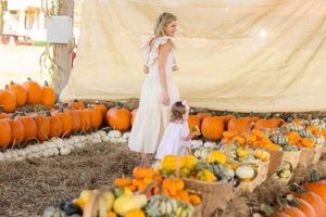 Your Guide: Southern Hill Farms Events Near You - Fun! | The Conscious Farmer | Sustainable Agriculture for a Healthier Planet