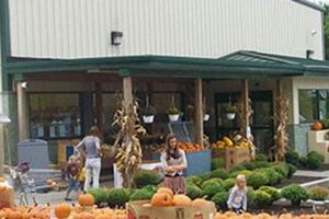 Find Green Hills Farm Discount Grocery: Locations & Deals! | The Conscious Farmer | Sustainable Agriculture for a Healthier Planet
