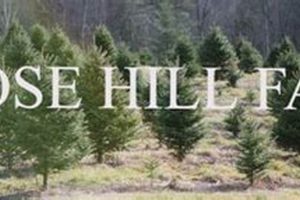 Visit Moose Hill Farm: A Sustainable MA Sanctuary | The Conscious Farmer | Sustainable Agriculture for a Healthier Planet