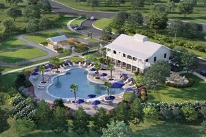 Discover Liberty Hill Farm, Mount Pleasant SC | Local Produce | The Conscious Farmer | Sustainable Agriculture for a Healthier Planet