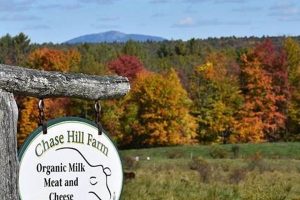 Discover Sustainable Chase Hill Farm's Bounty | The Conscious Farmer | Sustainable Agriculture for a Healthier Planet