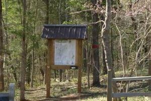 Explore Tot Hill Farm Trailhead: Your Hiking Start Point | The Conscious Farmer | Sustainable Agriculture for a Healthier Planet